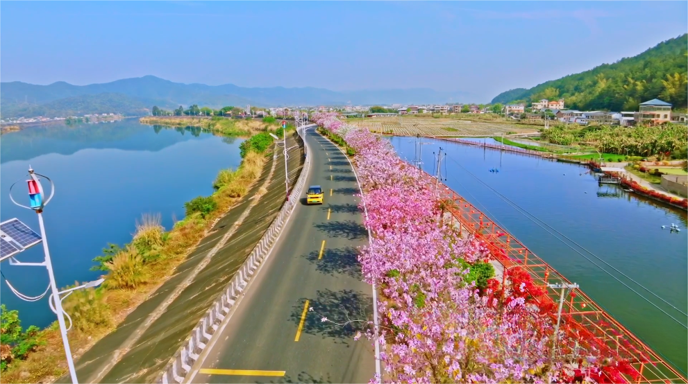 蕉岭县盛事启幕——主持人倾情开场