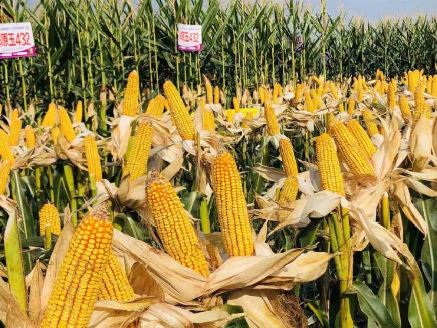 新疆之旅，寻找内心平静的旅程