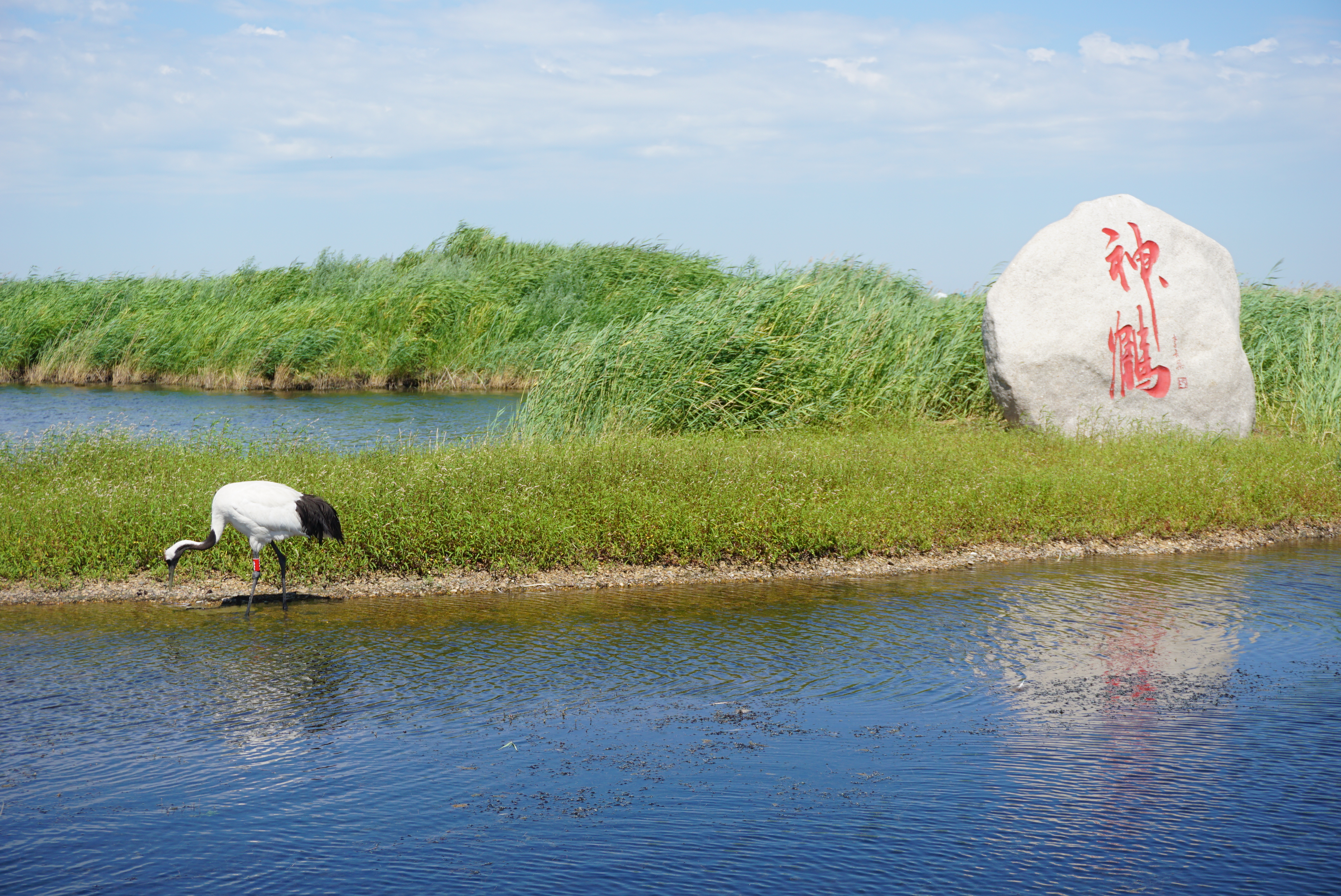 探寻河东文化魅力之都——运城之旅